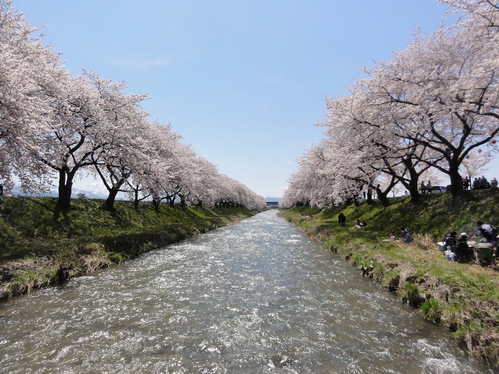 "舟川桜並木(HUNAKAWA Riverside Cherry Blossoms)" by inazakira is licensed under CC BY 2.0